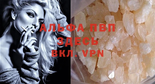 шишки Апатиты