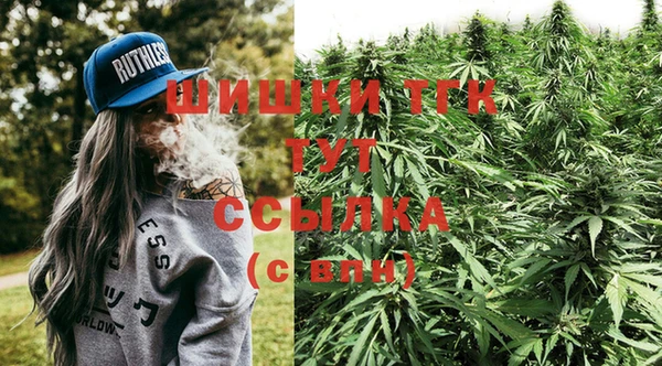 шишки Апатиты