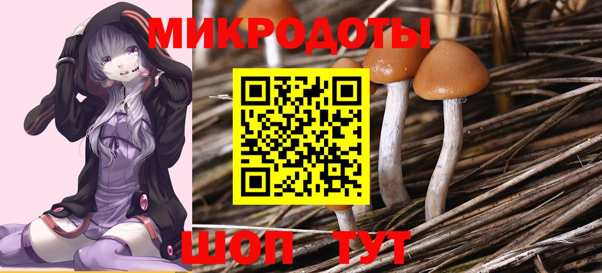 Галлюциногенные грибы MAGIC MUSHROOMS  Галлюциногенные грибы GOLDEN TEACHER  продажа наркотиков  Рубцовск 