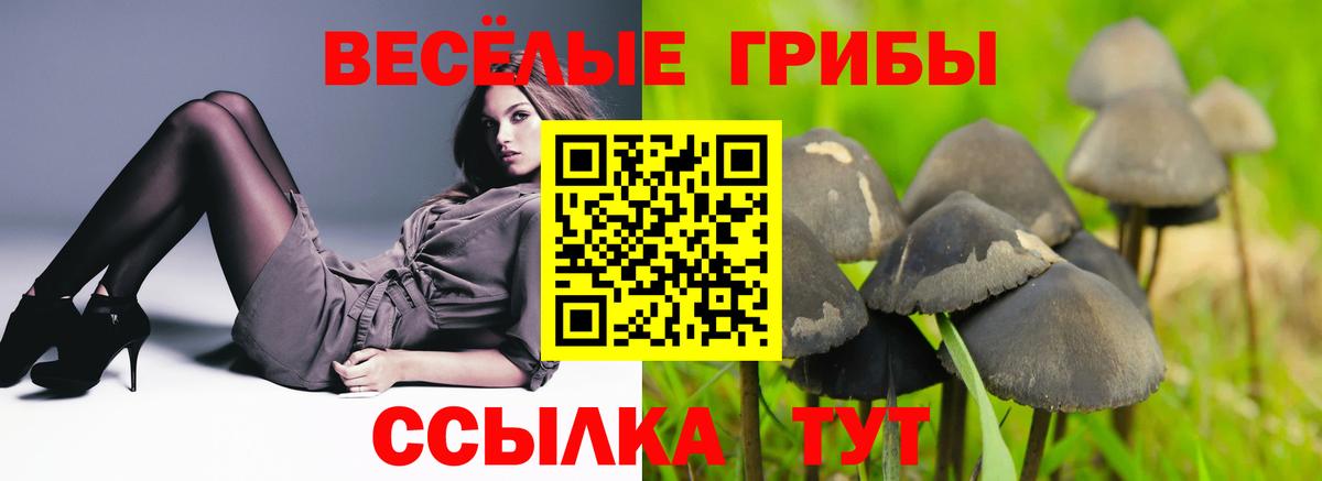 Галлюциногенные грибы GOLDEN TEACHER  Псилоцибиновые грибы мицелий  Рубцовск  Вход с VPN 