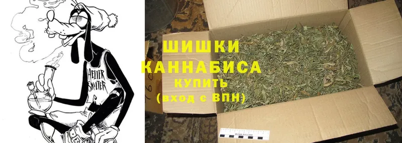 Бошки Шишки SATIVA & INDICA  блэк спрут как зайти  Рубцовск 